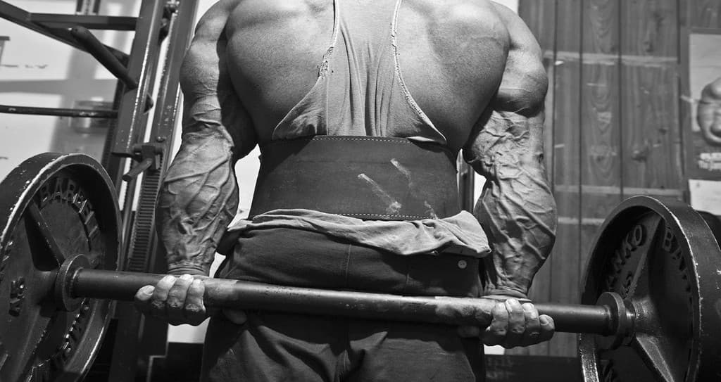Back and arms under a loaded barbell